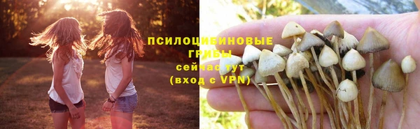 гашиш Ладушкин