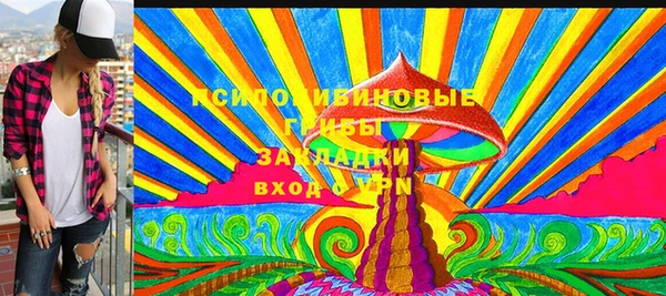 твердый Лабытнанги