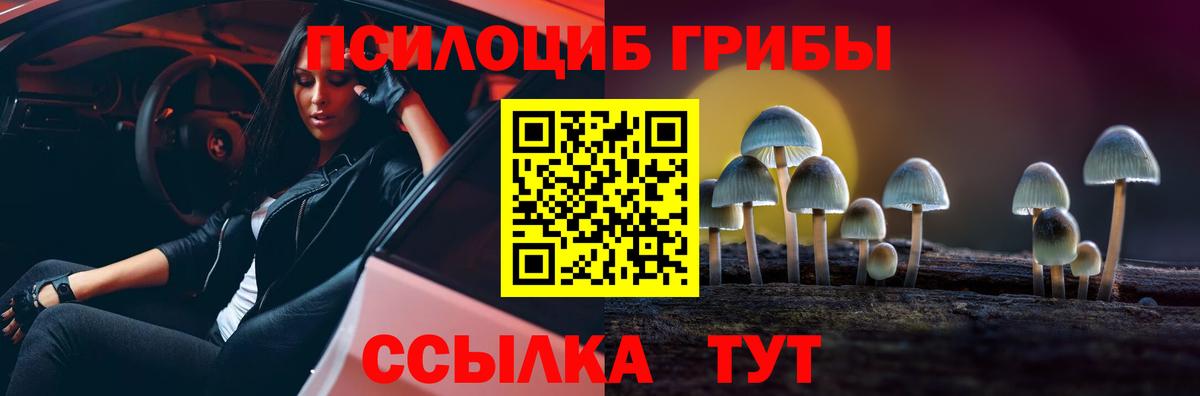 Псилоцибиновые грибы прущие грибы Шахты